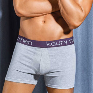ART 37P BOXER LISO KAURY MEN GRIS MELANGE