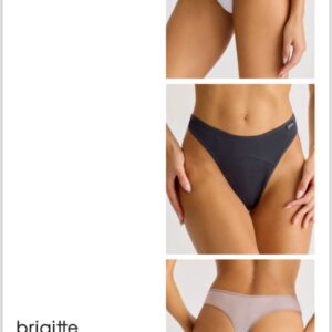 BRIGITTE PANTIES ART 4302 PACK X3 LESS MICROFIBRA C.VARIOS